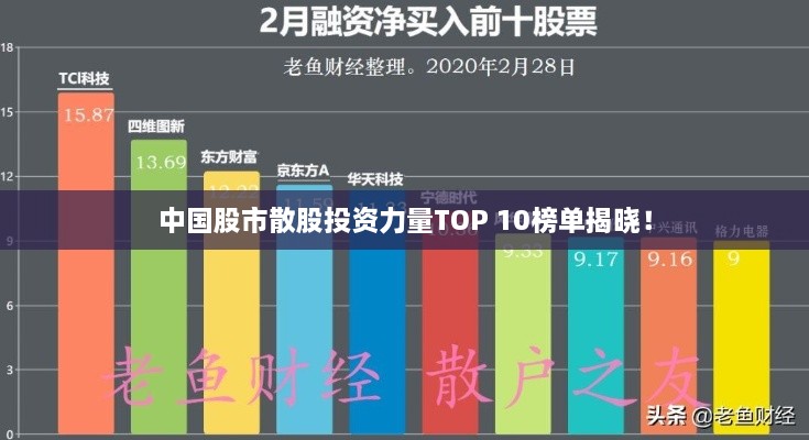 中国股市散股投资力量TOP 10榜单揭晓！