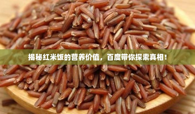 揭秘红米饭的营养价值，百度带你探索真相！