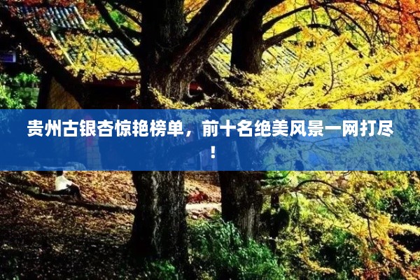 贵州古银杏惊艳榜单，前十名绝美风景一网打尽！