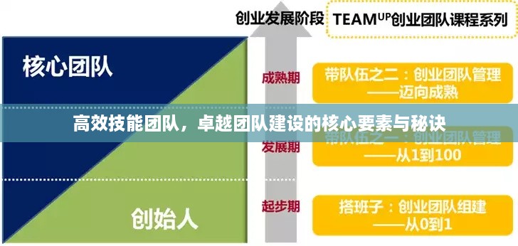 高效技能团队，卓越团队建设的核心要素与秘诀