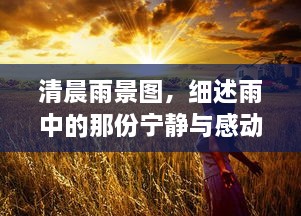 清晨雨景图，细述雨中的那份宁静与感动