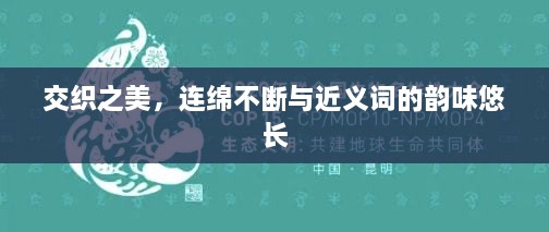 交织之美，连绵不断与近义词的韵味悠长