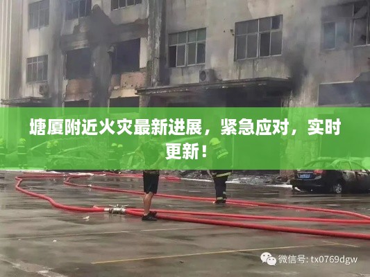 塘厦附近火灾最新进展，紧急应对，实时更新！