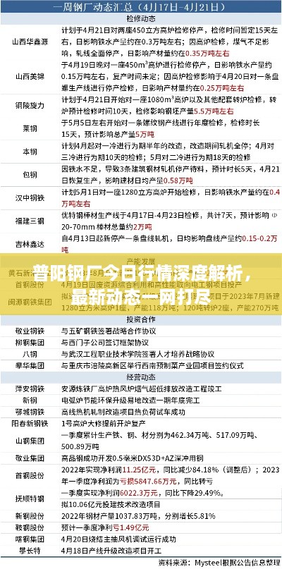 普阳钢厂今日行情深度解析，最新动态一网打尽