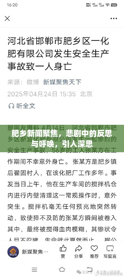 肥乡新闻聚焦，悲剧中的反思与呼唤，引人深思
