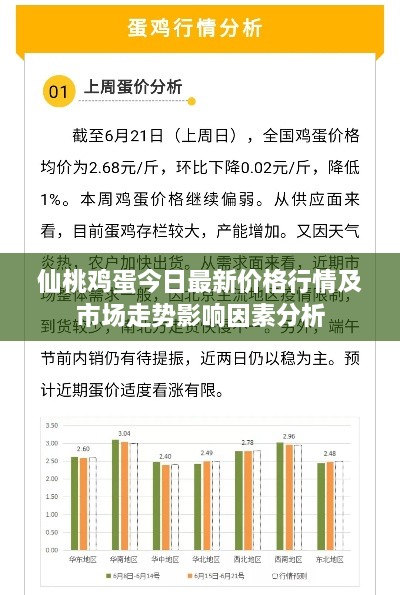 仙桃鸡蛋今日最新价格行情及市场走势影响因素分析