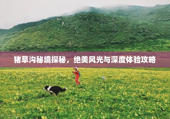 猪草沟秘境探秘，绝美风光与深度体验攻略