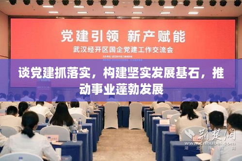 谈党建抓落实，构建坚实发展基石，推动事业蓬勃发展