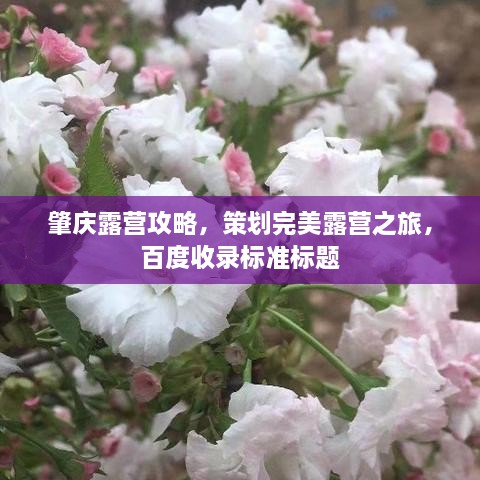 肇庆露营攻略，策划完美露营之旅，百度收录标准标题