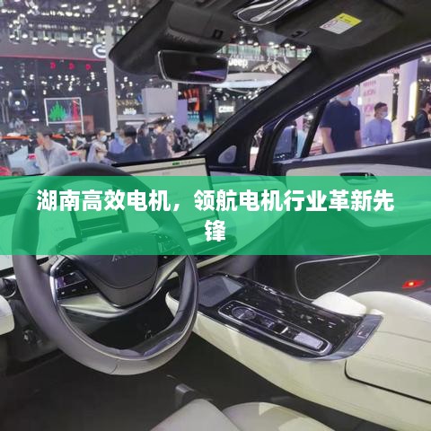 湖南高效电机，领航电机行业革新先锋