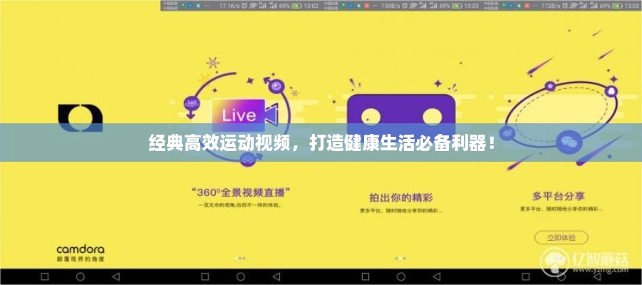 经典高效运动视频，打造健康生活必备利器！