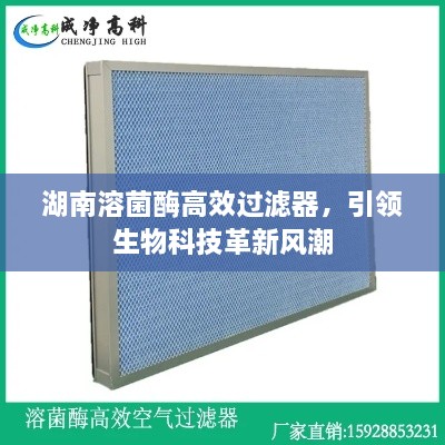 湖南溶菌酶高效过滤器，引领生物科技革新风潮