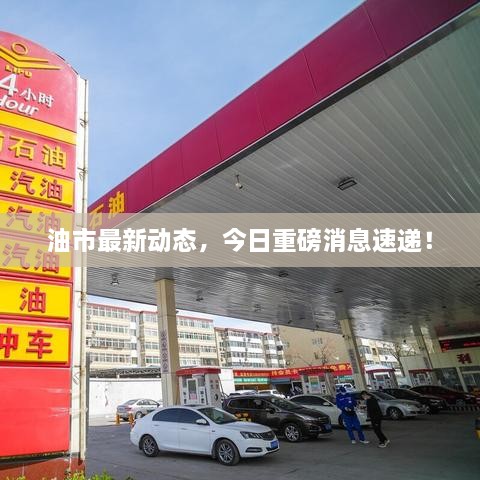 油市最新动态，今日重磅消息速递！