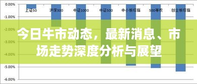 今日牛市动态，最新消息、市场走势深度分析与展望