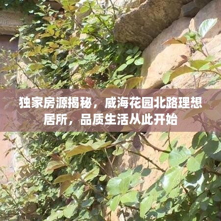 独家房源揭秘，威海花园北路理想居所，品质生活从此开始
