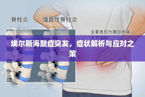 埃尔斯海默症突发，症状解析与应对之策