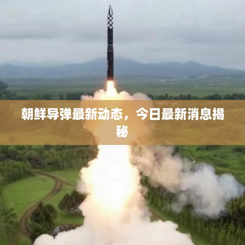 朝鲜导弹最新动态，今日最新消息揭秘